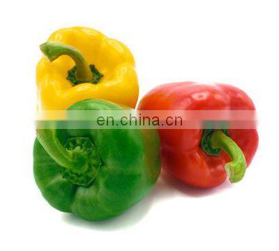 Chinese price frozen red pepper frozen bell pepper with good quality and moderate