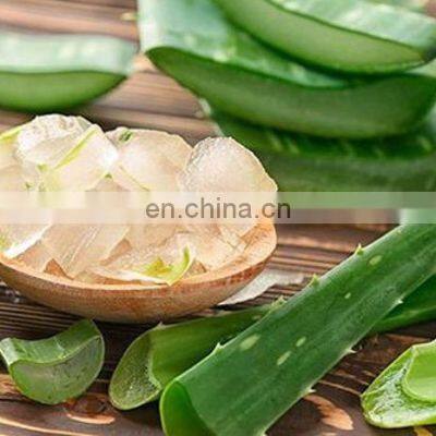 Aloe Vera Chunk From Vietnam
