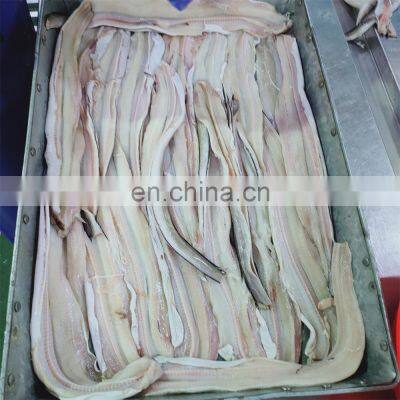 Top Quality Sea Frozen Eel Fish Fillet Frozen Conger Eel Fillet 90-200g Head off Tail off Gutted off