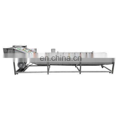 High Pressure Cleaner Fruit and Vegetable Washer Commercial Lemon Washing Machine