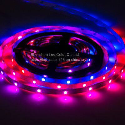 DC5V 9W/M PCB8MM SMD5050 RGB Flexible LED Light Strip Decor Ambient Lighting SK6812 LED Strip photo-3