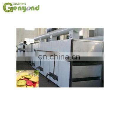 Professional Dried Apple Chips Processing Machines photo-4