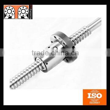 Hot Sale High Precision Made in China Ball Screw