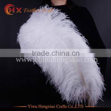 china HX wholesale white ostrich feathers for sale