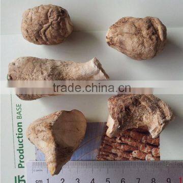 Dried Mushroom Leg , Mushroom Stem photo-2