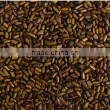 Eco-friendly Cassia Tora Seeds