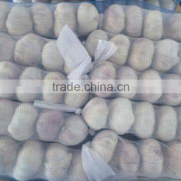 2016 nerw stock new garlic,bulk jinxiang garlic sales,garlic for new market,garlic