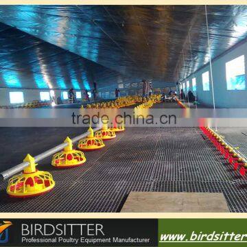 chicken poultry farms
