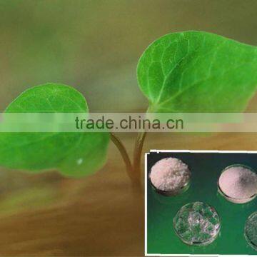 Polymer gel crystals ( super absorbent polymer ) used for agriculture