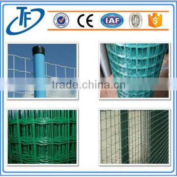 Holland Wire Mesh(factory)