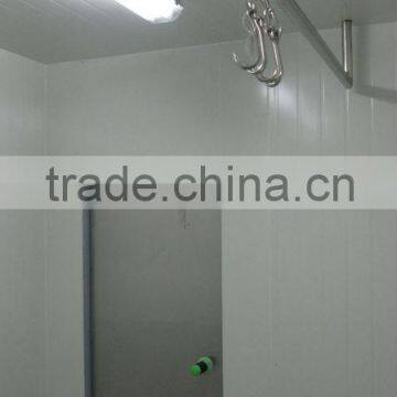 20ft reefer container