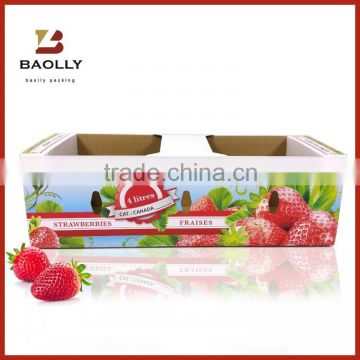 strawberry packaging box