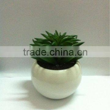 wholesale bonsai pots