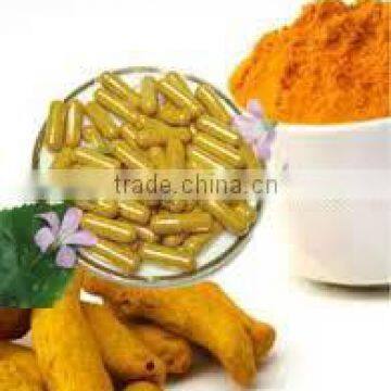 Wholesale Turmeric Extract Herbal Capsules