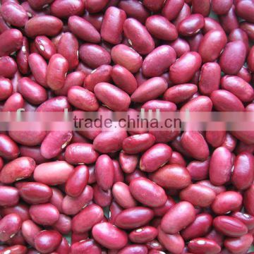 red kidney beans