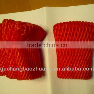 China Products/Customizing Fruit Protecting Net Sleeve