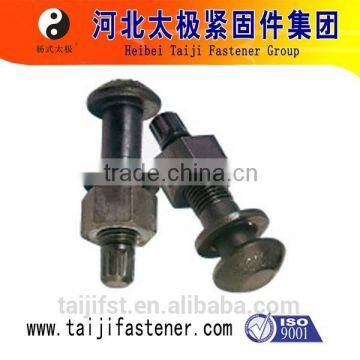 Tor shear bolts type high strength bolt