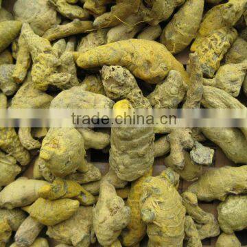 Turmeric finger salem