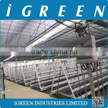 Multi-layer PVC Lettuce Hydroponics Growing System photo-5