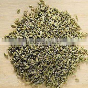 Fennel Extract