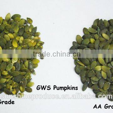 PUMPKIN KERNELS SHINESKIN AA Organic