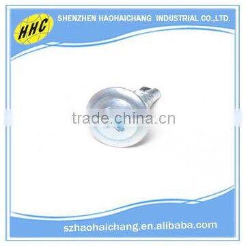 China Customized Stainless Steel Phillips Self Tapping Drywall Screw