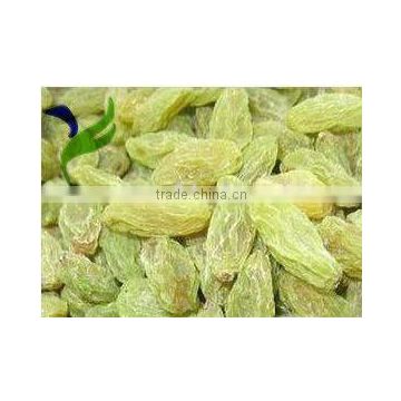 new crop organic green raisin with high quality and hot sale