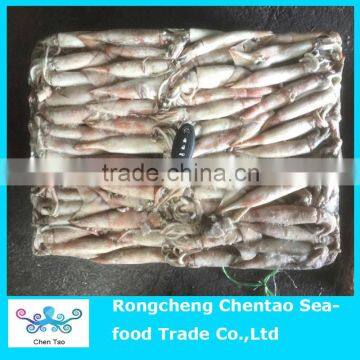 Hot Sale Frozen Squid as Fish Bait photo-2