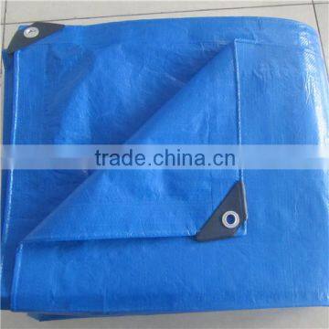 China Supplier of Well Waterproof Plastic Sheet Cover PE Tarpaulin Canopy Material