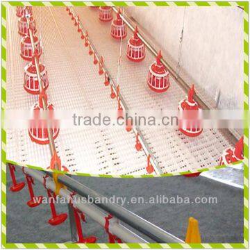 Broiler Farm Poultry Equipment Using for Broiler chicken and duck