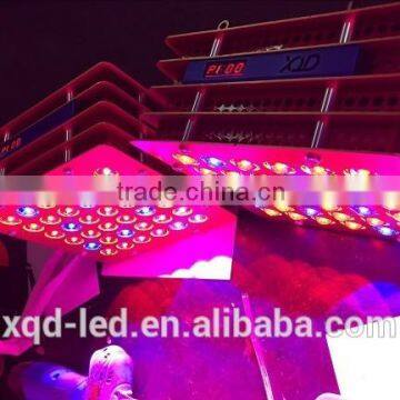 Newest Popular 7w Chip Led Grow Light photo-5