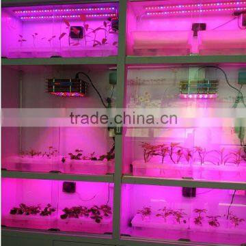 72w/150w/420w/600w Led Plant Grow Light Hydroponic Full Spectrum
