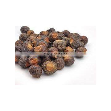 Indian Organic Natural Soapnut /Saponins Seeds in Second Grade photo-3