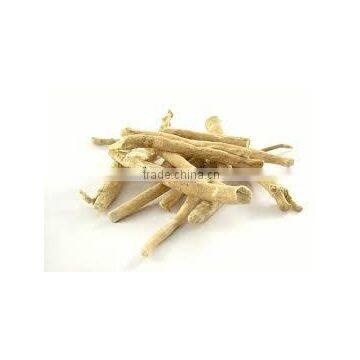 ASHWAGANDHA ROOT POWDER HERBAL FOR ANIMAL FEED photo-2
