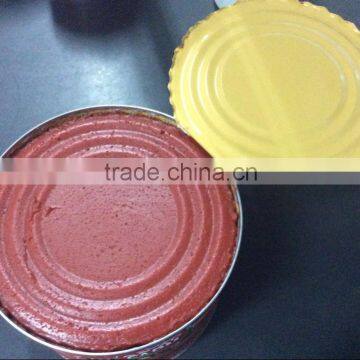 All Kinds of Canned Tomato Paste Sale photo-4