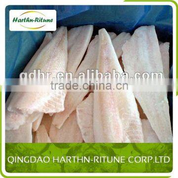Frozen Saithe /pacific Cod Fillet