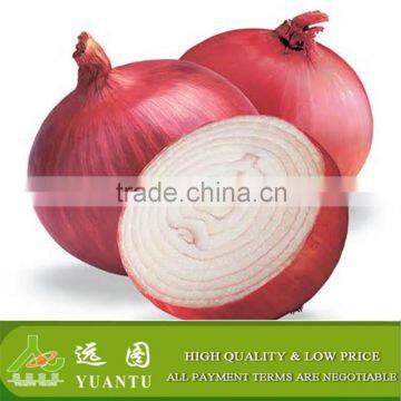 Fresh Red Onion From China photo-5
