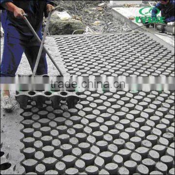 Concreting plant ecology pouring pile strawberry flower grass ground floor parking lot pavement Stone clover mold