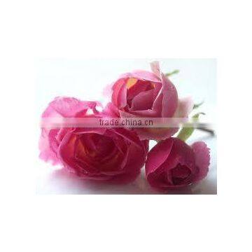 Pure & Natural Rose Oil / INDIA'S NO. 1 EXPORTER'S / MANUFACTURER / SUPPLIERS photo-3