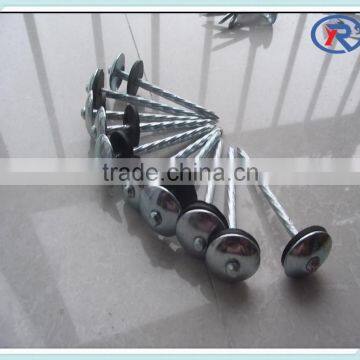 Trade Assurance Umbrella Roofing Nails With Twist Shank 2'' 2.5'' 3'' From China photo-2