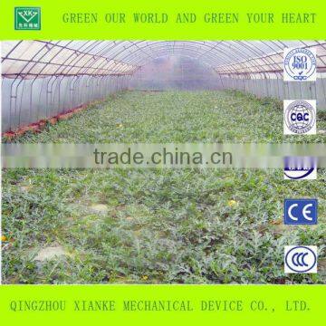 Large Venlo Film Greenhouse for Seeding photo-2