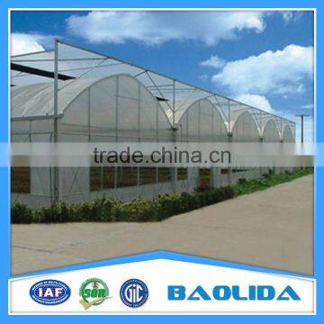Multi Span Greenhouse /Invernadero For Vegetables photo-3