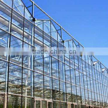 Glass Greenhouse-5