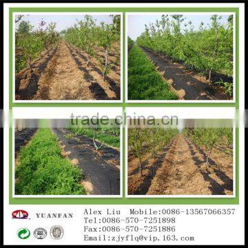 Gardening Use Non Woven Fabric photo-5