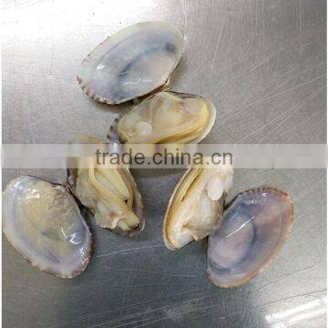 VACCUM PACKING BABY CLAM FOR SALE