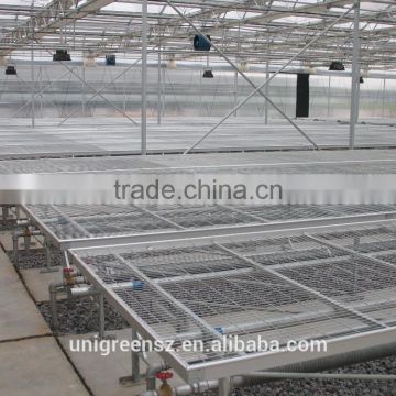 hot selling seedbed vegetable nursery greenhouse