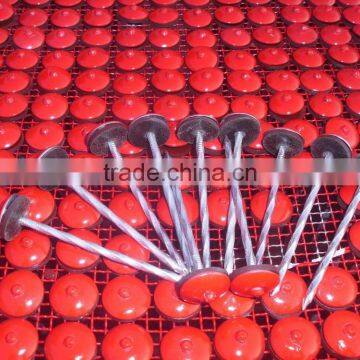 Hot Selling Factory Price of Roofing Nails photo-6