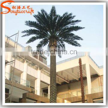 Songtao Suplier Artificial Date Palm Tree Customized Fibeerglass Date Palm Tree Fiberglass Artificial Palm Trees photo-6