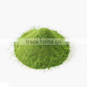 Manufacturer Supply Best Matcha Extract Powder