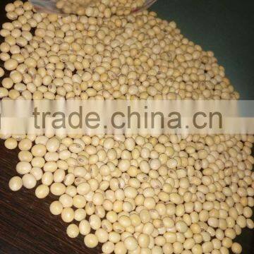 Indian Supplier for Soyabean